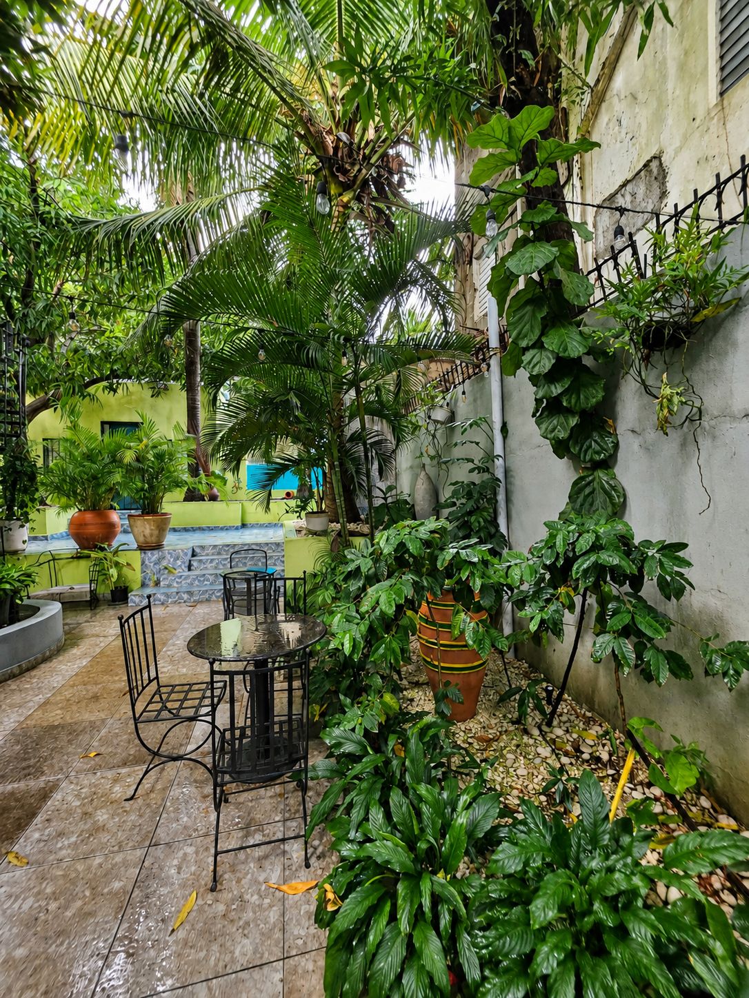Hotelito Bonito tropical garden 1