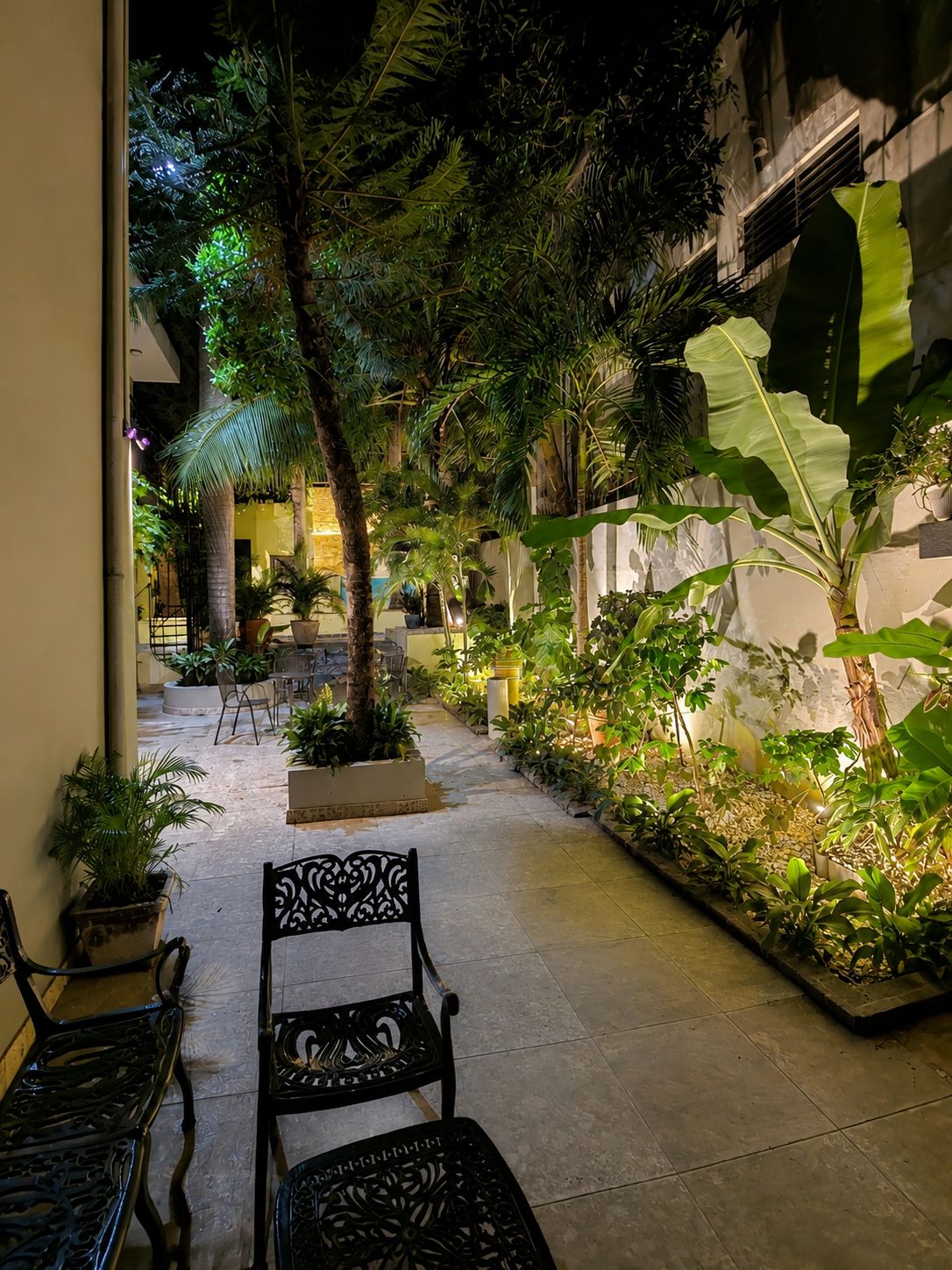 Tropical garden at Hotelito Bonito