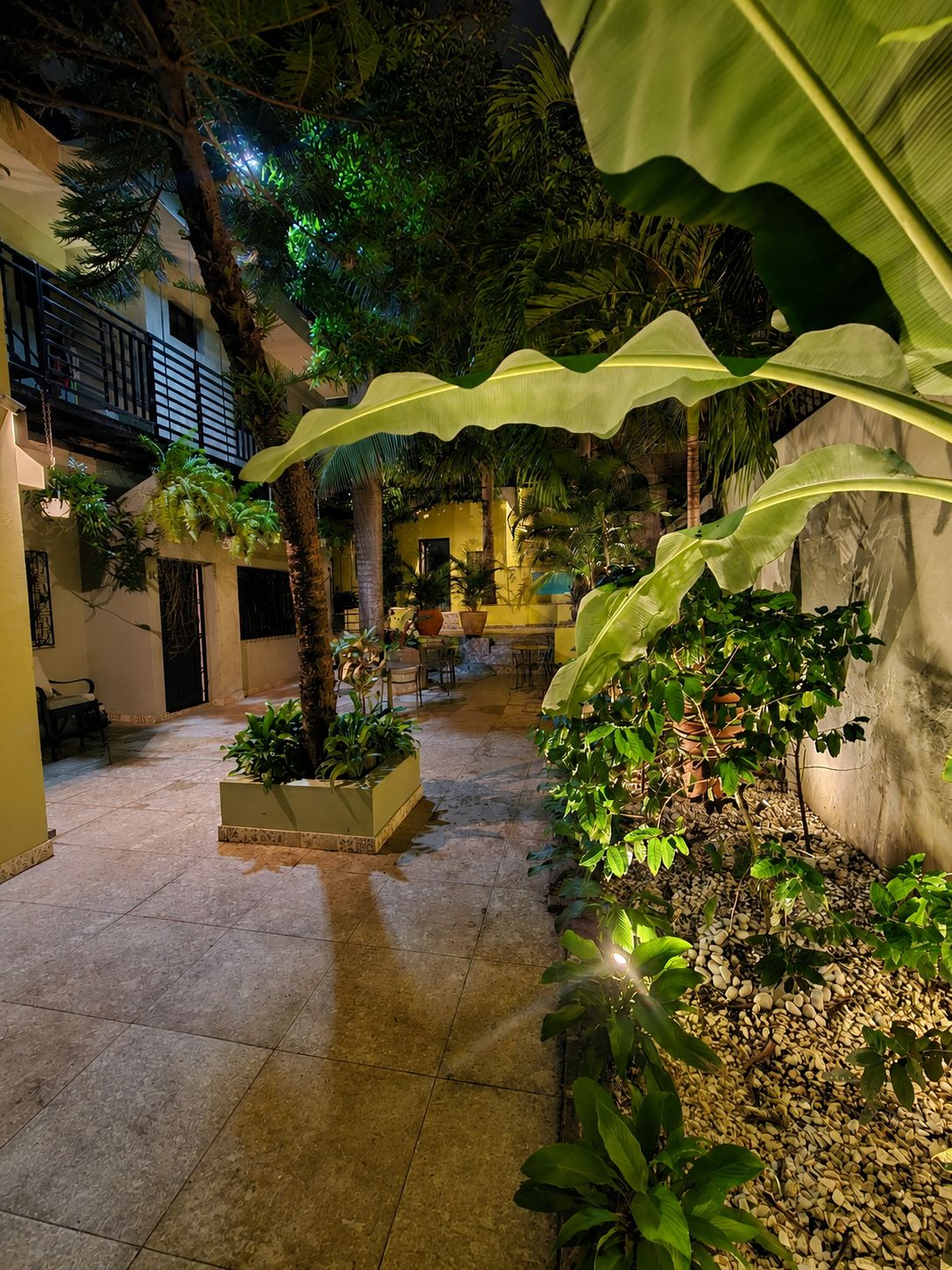 Hotelito Bonito tropical garden 4