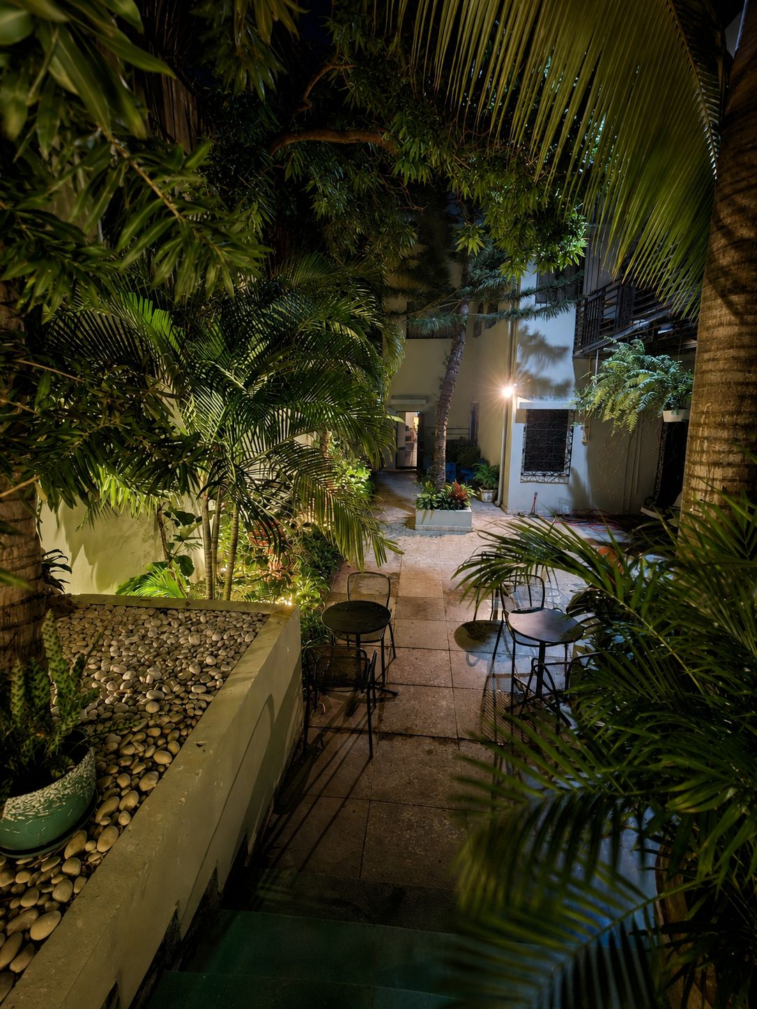 Hotelito Bonito tropical garden 5